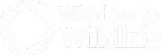 Window to Wildlife